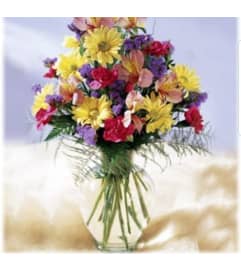 Pink Wisps. An arrangement by Avenue Flowers and Gifts.