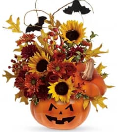 It's a Trick. An arrangement by Avenue Flowers and Gifts.