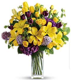 Equinox. An arrangement by Avenue Flowers and Gifts.