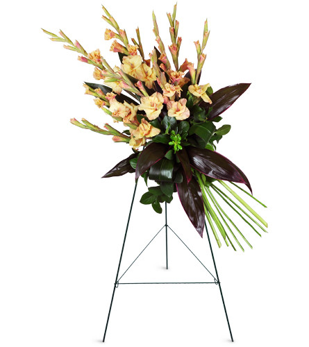 Elegant Memories Spray. An arrangement by Avenue Flowers and Gifts. Long-stemmed gladiolus and dark green aspidistra leaves are arranged in a...