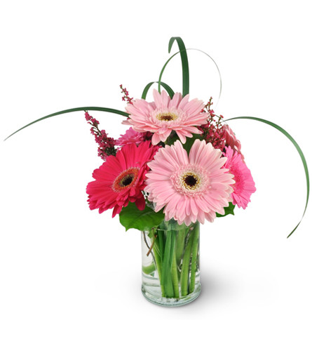 Think Pink. An arrangement by Avenue Flowers and Gifts. An assortment of Gerbera daisies in hues of pink are beautifully arranged with heather,...