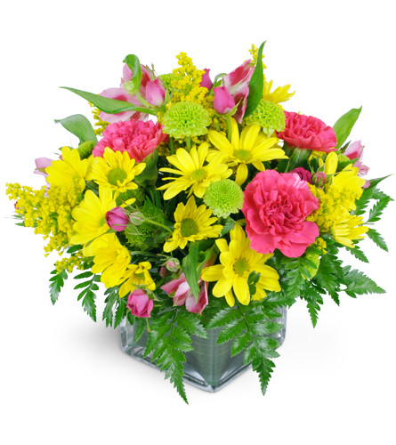 Day at the Park™. An arrangement by Avenue Flowers and Gifts. Hand-selected daisies, spray roses, carnations, and more are arranged in a classic...