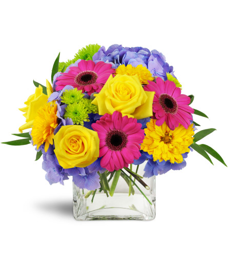 Blooming Medley™ - Deluxe. An arrangement by Avenue Flowers and Gifts. Purple hydrangea, Gerbera daisies, and roses come together to create a...