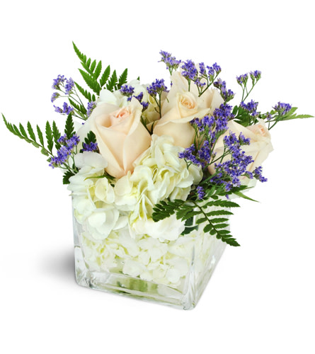 Sweet Whispers™. An arrangement by Avenue Flowers and Gifts. Light pink roses and white hydrangea are accented by delicate purple caspia in a...
