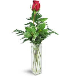 Forever Together™. An arrangement by Avenue Flowers and Gifts. Forever Together™. An arrangement by Avenue Flowers and Gifts.