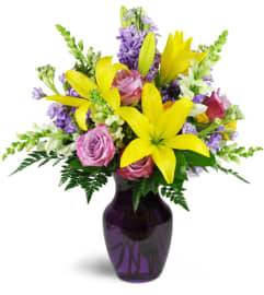 Sprightly Spring™. An arrangement by Avenue Flowers and Gifts. Sprightly Spring™. An arrangement by Avenue Flowers and Gifts.