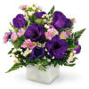 Wishes and Kisses - Deluxe. An arrangement by Avenue Flowers and Gifts. Delicate lisianthus, miniature daisies, and waxflowers are beautifully...