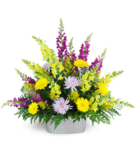 Into Open Arms. An arrangement by Avenue Flowers and Gifts. Gerbera daisies, snapdragons, Fuji mums, and more are arranged for display at the...