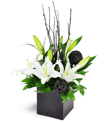 Sensational Grace™. An arrangement by Avenue Flowers and Gifts. Pure white lilies are beautifully highlighted by a contemporary black container...