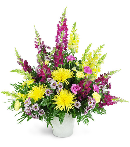 Warm Remembrance. An arrangement by Avenue Flowers and Gifts. Beautiful snapdragons, fuji mums, and carnations are arranged in various shades of...