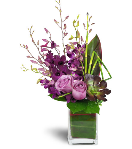 Orchid Jewels™ - Deluxe. An arrangement by Avenue Flowers and Gifts. A dazzling array of Dendrobium orchids, a succulent plant, and lavish greens...