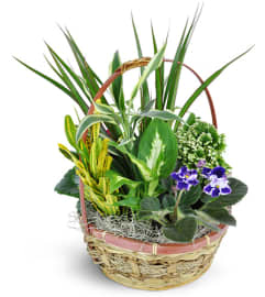 Basket of Love. An arrangement by Avenue Flowers and Gifts.