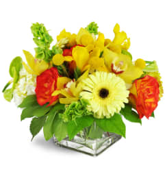 Citron Surprise™. An arrangement by Avenue Flowers and Gifts.