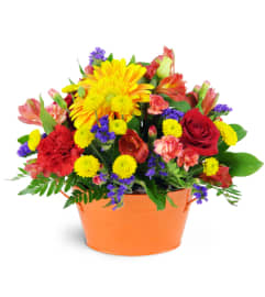 Vibrant Garden. An arrangement by Avenue Flowers and Gifts.
