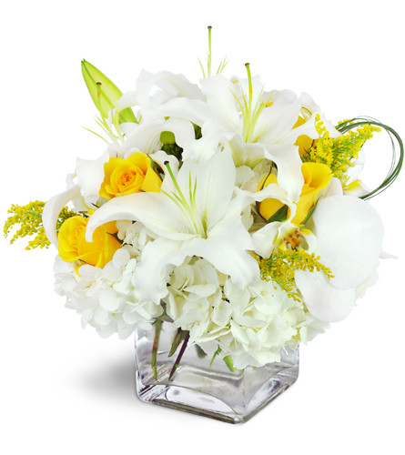 Glowing Elegance™. An arrangement by Avenue Flowers and Gifts. Treat them to white cymbidium orchids, lilies, and hydrangea accented by stunning...