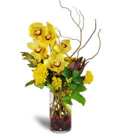 Orchid Symphony™. An arrangement by Avenue Flowers and Gifts.
