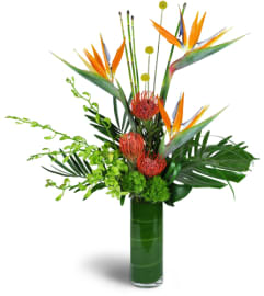 Paradise Flight™. An arrangement by Avenue Flowers and Gifts.