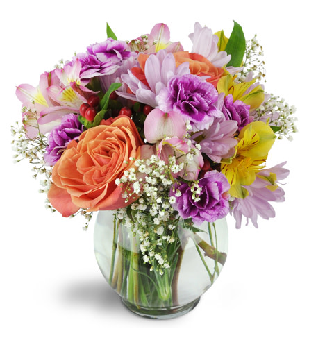 Cute as a Button!™. An arrangement by Avenue Flowers and Gifts. Delightful orange roses, yellow and pink Peruvian Lilies, miniature carnations,...