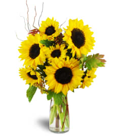 Autumn Blooms Bouquet™. An arrangement by Avenue Flowers and Gifts. Autumn Blooms Bouquet™. An arrangement by Avenue Flowers and Gifts.