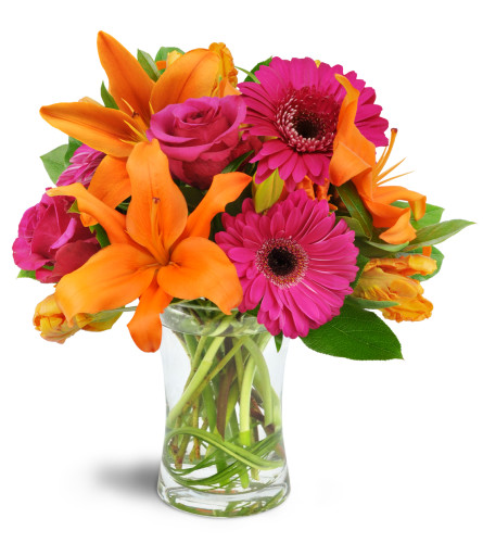 Vibrant Shine™ - Deluxe. An arrangement by Avenue Flowers and Gifts. Gift them asiatic lilies, roses, Gerbera daisies, and tulips arranged with...