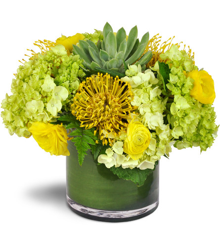 Succulent Sunray Bouquet™. An arrangement by Avenue Flowers and Gifts. A central succulent is surrounded by green hydrangeas, yellow ranunculus,...