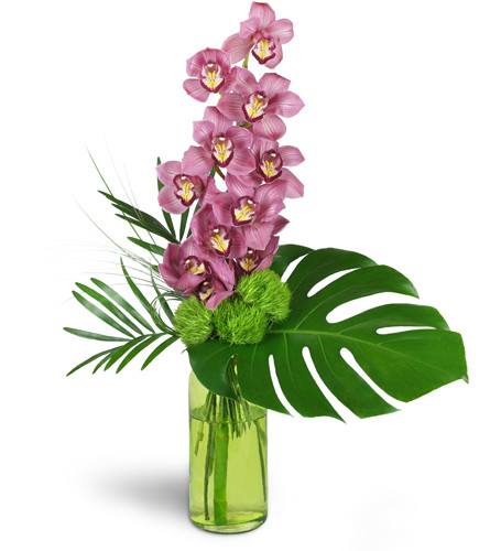 Blushing Grace Orchids™. An arrangement by Avenue Flowers and Gifts. One full stem of pink Cymbidium orchids is arranged with delicate dianthus...