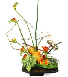 Tranquil Mountain Roses™. An arrangement by Avenue Flowers and Gifts.