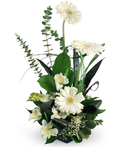 Heaven's Gate. An arrangement by Avenue Flowers and Gifts. White Gerbera daisies, alstroemeria, baby's breath, lush tropical leaves, and more...