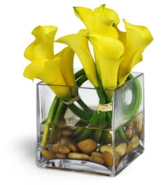 Modern Exuberance™. An arrangement by Avenue Flowers and Gifts.