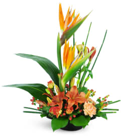High-Rise Prize™. An arrangement by Avenue Flowers and Gifts.