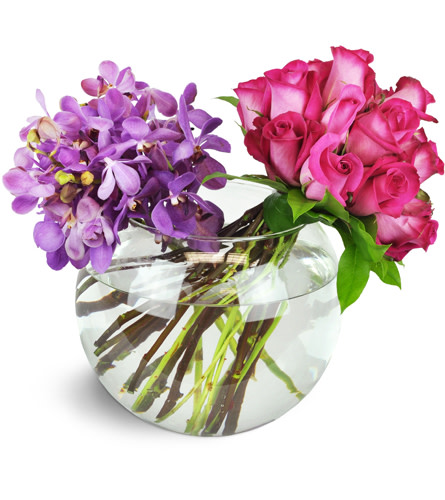 Captivating Duet™. An arrangement by Avenue Flowers and Gifts. Four stems of exotic Mokara orchids and 18 hot pink roses are hand-tied in a large...