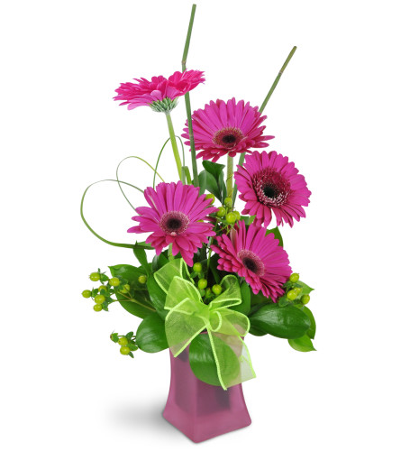 Happy Dance - Deluxe. An arrangement by Avenue Flowers and Gifts. Give them a gorgeous bouquet of Gerbera daisies, hypericum berries, snake grass,...
