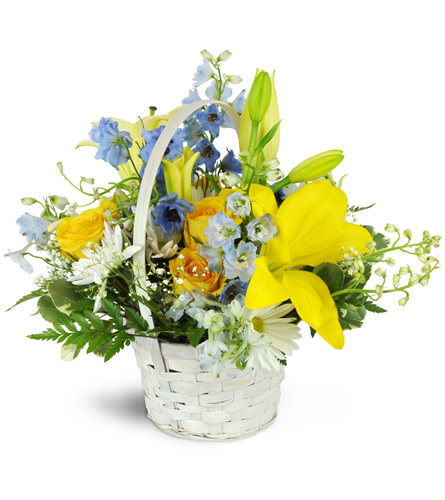 Sweetly Devoted™. An arrangement by Avenue Flowers and Gifts. Yellow roses and lilies blend charmingly with blue delphinium and white daisies in a...