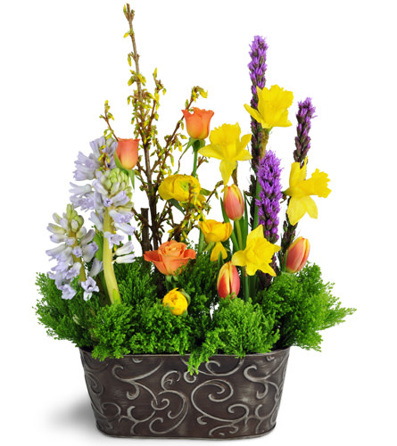 Gardener's Delight. An arrangement by Avenue Flowers and Gifts. Gorgeous hyacinth, tulips, daffodils, roses, ranunculus, and forsythia are...