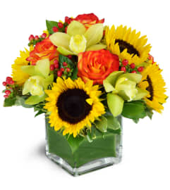 Sunrise Harvest. An arrangement by Avenue Flowers and Gifts.