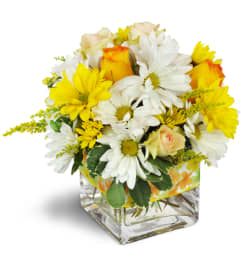 Sunshine Medley™. An arrangement by Avenue Flowers and Gifts.