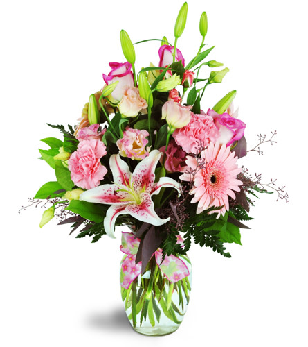 Daisy Day Blush™. An arrangement by Avenue Flowers and Gifts. Delight them with Gerbera daisies, Stargazer lilies, and more arranged in a classic...