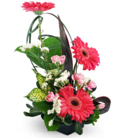 To The Top!™. An arrangement by Avenue Flowers and Gifts.