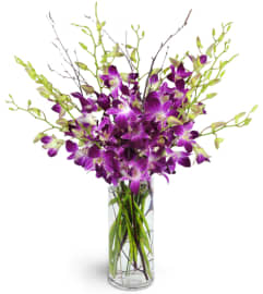 You're My Everything. An arrangement by Avenue Flowers and Gifts.