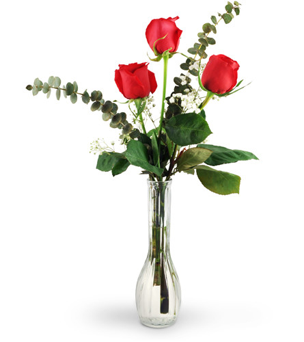 Three Red Roses. An arrangement by Avenue Flowers and Gifts. Three stunning red roses are beautifully arranged with eucalyptus and baby's breath..