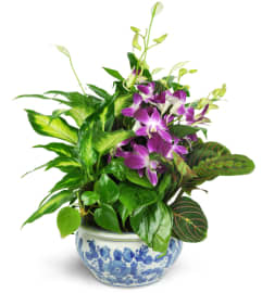 Sweet Memory Planter. An arrangement by Avenue Flowers and Gifts.