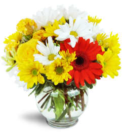 Bright Delight™. An arrangement by Avenue Flowers and Gifts.