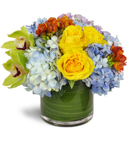 Clear Skies Bouquet™. An arrangement by Avenue Flowers and Gifts. Yellow roses, green cymbidium orchids, blue hydrangea, and orange freesias are...