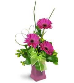 Happy Dance. An arrangement by Avenue Flowers and Gifts.