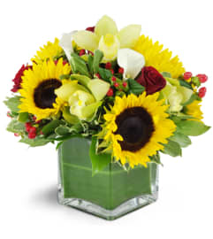 Luxury in Bloom™. An arrangement by Avenue Flowers and Gifts.